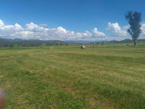 P & D Rumbel Contracting - Dentist Find 1