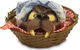 Bec’s Costume Box - thumb 10