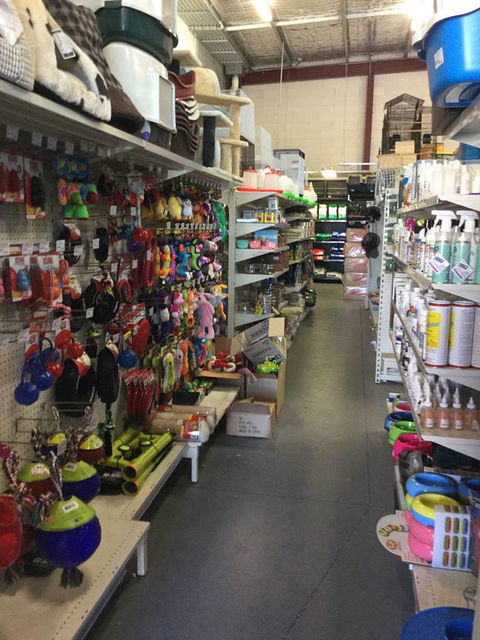 Pets R Us Raymond Terrace - Dentist Find 2