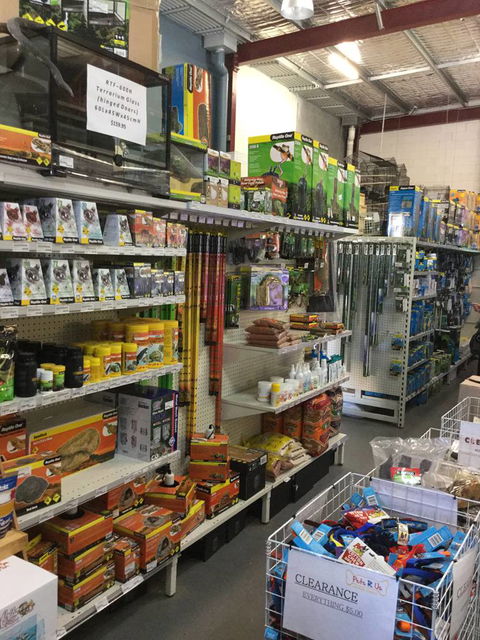 Pets R Us Raymond Terrace - Dentist Find 4