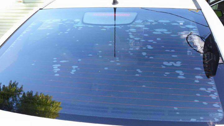 Staunch Window Tinting