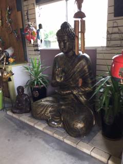 Calligans Nursery  Garden Centre