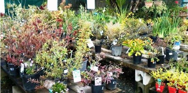 Murwillumbah Landscape Supplies