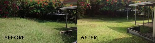 Phils Cleaning  Yard Maintenance