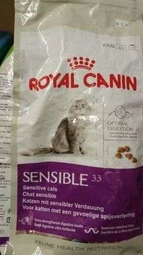 Cats Cattery Boarding Facility - Dentist Find 1