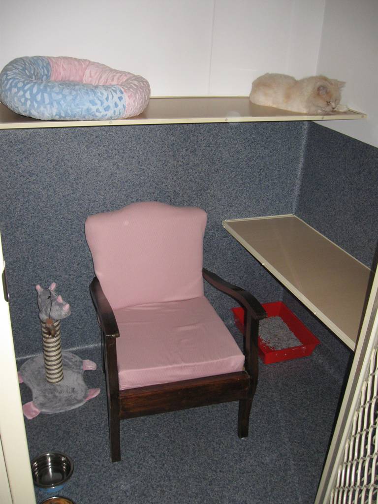 Hunter Pet Motel