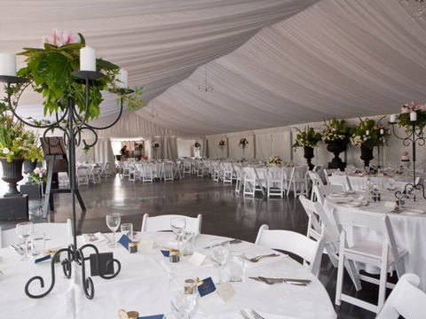Adors Party Hire - Dentist Find 4