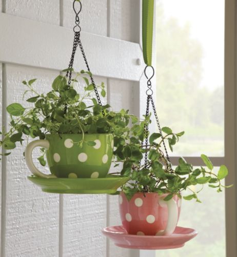 Hobby Ceramics - Dentist Find 3