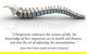 Grays Chiropractic Centre - thumb 8