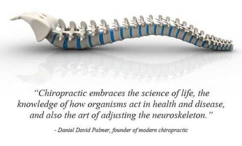 Grays Chiropractic Centre - Dentist Find 8