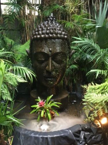 Trevs Recycled Garden