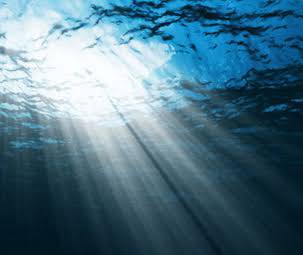 Barbara Wood Psychologist