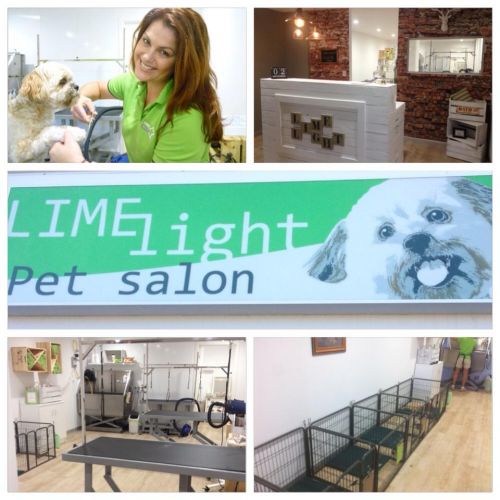 Limelight Pet Salon