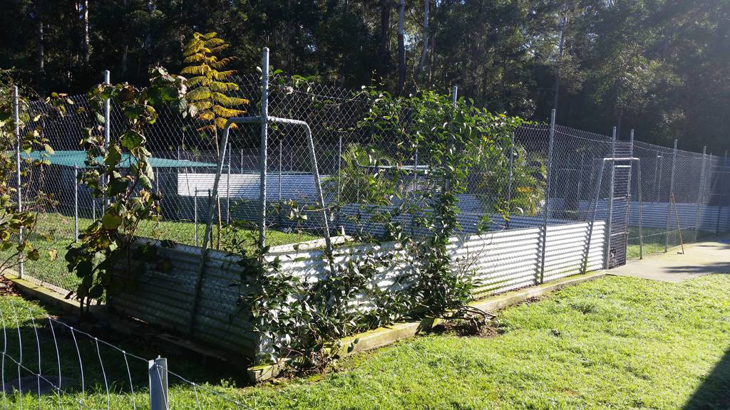 TLC Pet Care Coffs Harbour