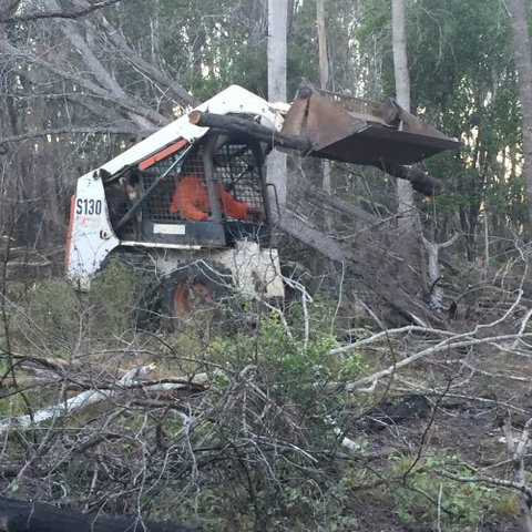 Greg Thompson Earthmoving - Dentist Find 1