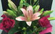 Hot Poppyz Florist - thumb 0
