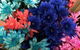 Hot Poppyz Florist - thumb 4