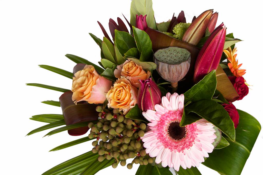 Florentina Flowers Lennox Head