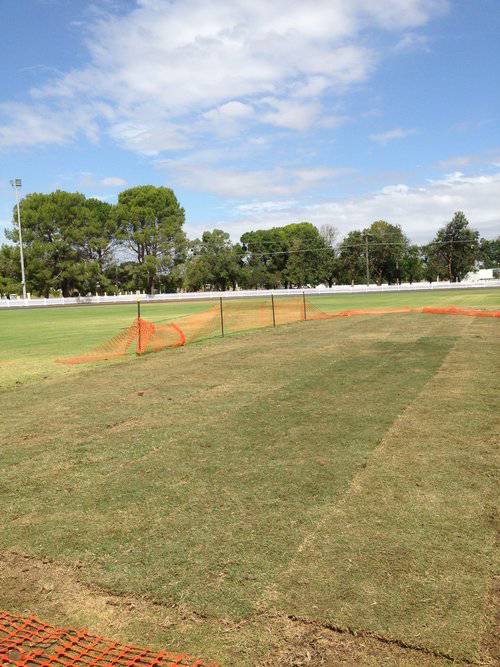 Orana Turf
