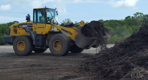 Coastal Sand Soil  Mulch