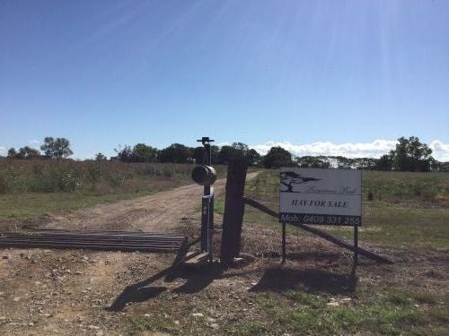 Poinciana Park Fodder Production