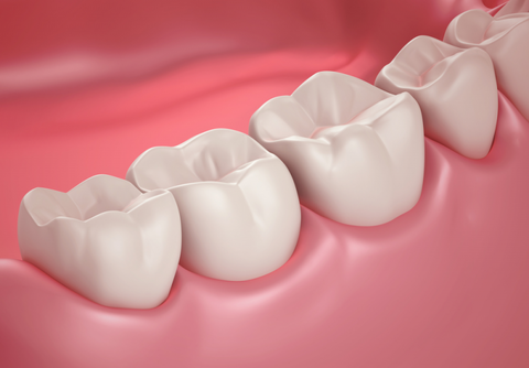 Newcastle Dental Care - Dentist Find 2