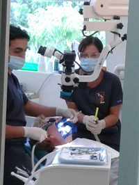 Cosmetic  Holistic Dentistry Centre