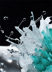 Coffs City Denture Clinic - Dentist Search 2