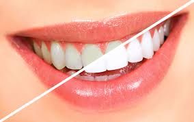 The Trustee For Dental Centre Peregian Springs Unit Trust - Dentist Search 7