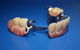 Advance Oral Denture Clinic - thumb 14