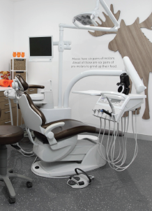 Orange Moose Dental - Dentist Find 8