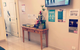 Sunshine Family Dental Clinic - thumb 2