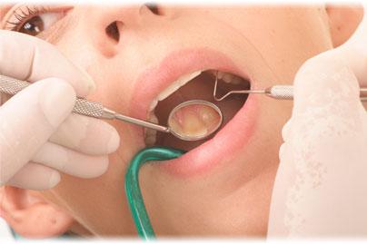 Maven Dental Cairns City - Dentist Find 1