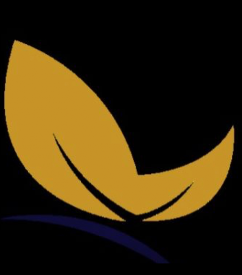 Fraser Shores Medical Centre And Hervey Bay Skin Clinic - Dentist Find 2