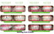 CUMULUS DENTAL - thumb 7