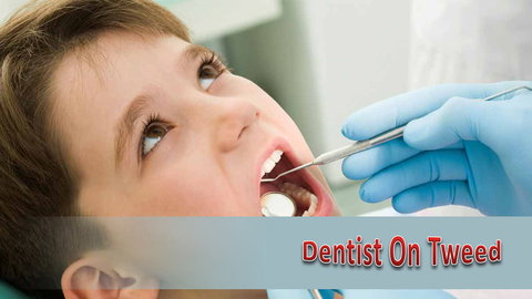 Dentists On Tweed - Dentist Find 1