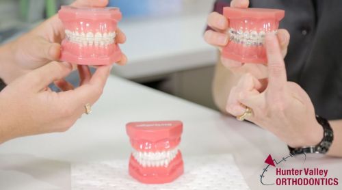 Yang Danny Dr  Specialist Orthodontist