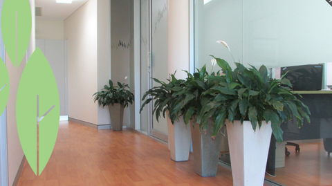 Parkview Dental Practice - Dentist Find 3