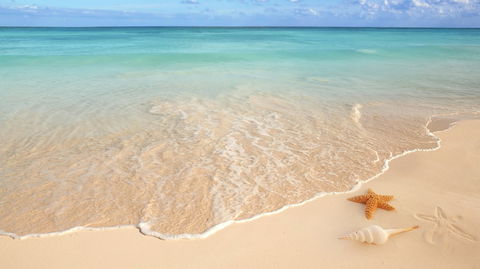 Golden Beach Dental - Dentist Search 0